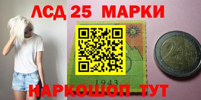 стаф Донской