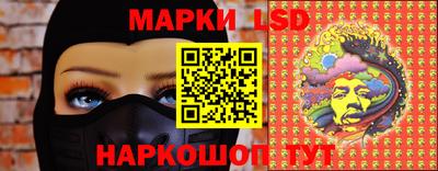 стаф Донской