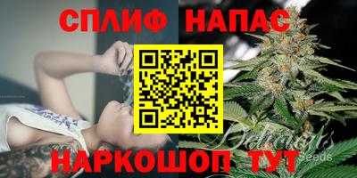 каннабис Дубна